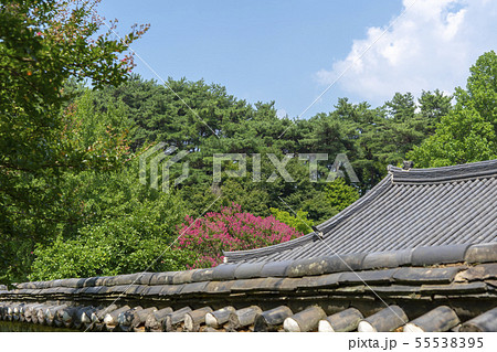 風景 自然 韓国 55538395