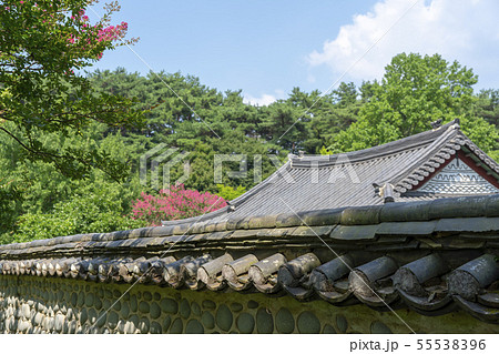 風景 自然 韓国 55538396