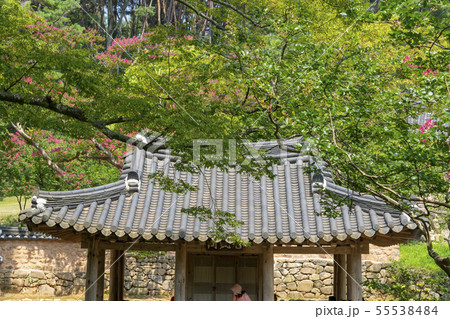 風景 自然 韓国 55538484