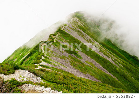 白馬大池から小蓮華山への道 55538827