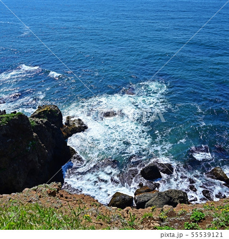 落石岬で見た太平洋とのコラボ情景＠根室、北海道 55539121