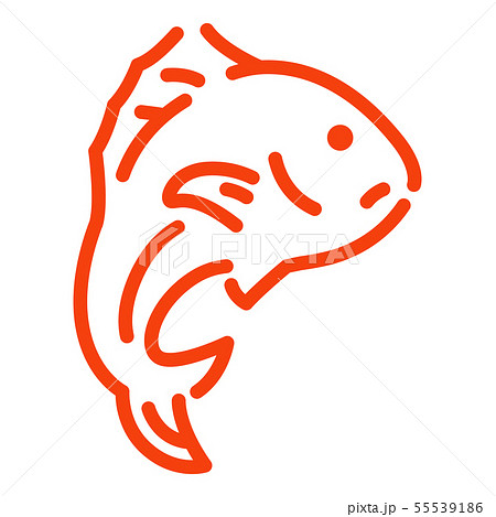 鯛：正月イラスト、アイコン、年賀状用 55539186