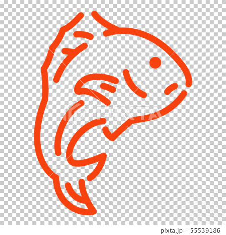 鯛：正月イラスト、アイコン、年賀状用 55539186