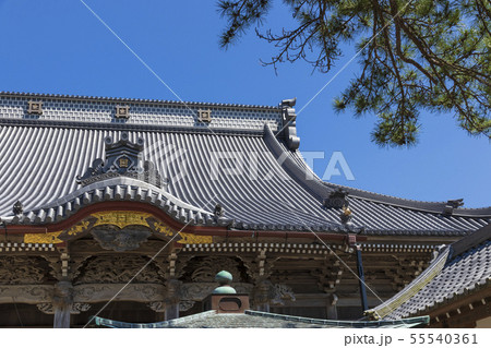 誕生寺 千葉県鴨川市 寺院の写真素材