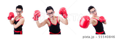 Funny boxer isolated on the white background Funny boxer isolated on the white background 55540846