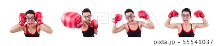 Funny boxer isolated on the white background 55541037
