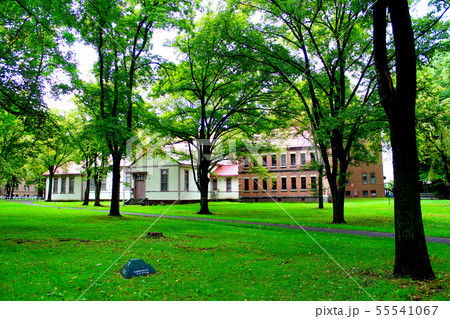 【北海道】北海道大学 札幌キャンパス エルムの森と旧図書館 【北海道】北海道大学 札幌キャンパス エルムの森と旧図書館 55541067