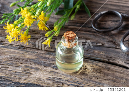 A bottle of essential oil with European goldenrod 55541201