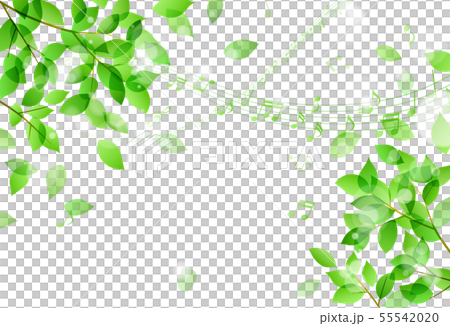 舞う緑の葉と流れる五線譜 音符のイラスト素材 5554