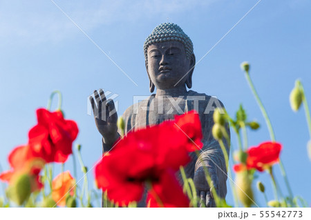 牛久大仏　茨城県牛久市の世界最大ブロンズ立像 55542773