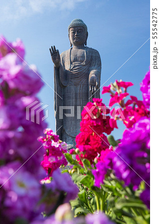 牛久大仏 茨城県牛久市の世界最大ブロンズ立像 牛久大仏 茨城県牛久市の世界最大ブロンズ立像 55542775