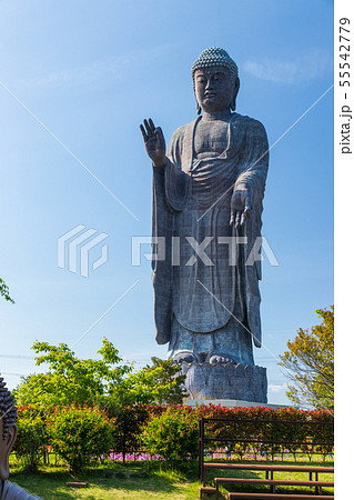 牛久大仏 茨城県牛久市の世界最大ブロンズ立像の写真素材