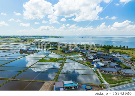 霞ヶ浦ふれあいランド 55542930