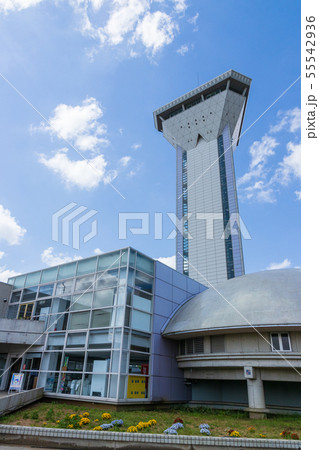 霞ヶ浦ふれあいランド 55542936