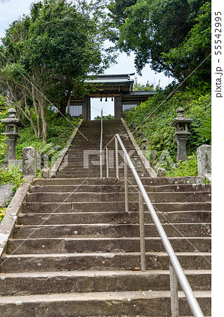 神社の山門への階段 神社の山門への階段 55542995