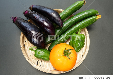 野菜 野菜 55543189