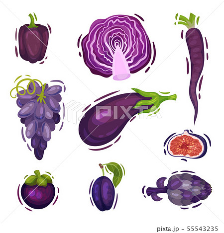 Set of purple vegetables. Vector illustration on white background. 55543235
