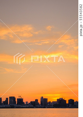 豊洲ぐるり公園の風景 (夕景) 豊洲ぐるり公園の風景 (夕景) 55543582