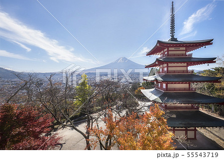Chureito Pagoda and Mt. Fuji in Autumn. 55543719