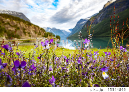 lovatnet lake Beautiful Nature Norway. 55544846