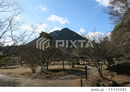 近江富士花緑公園 近江富士花緑公園 55545085