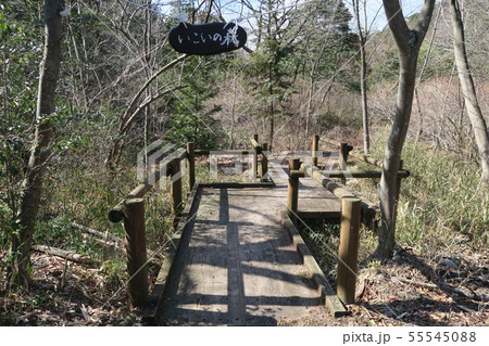 近江富士花緑公園 55545088