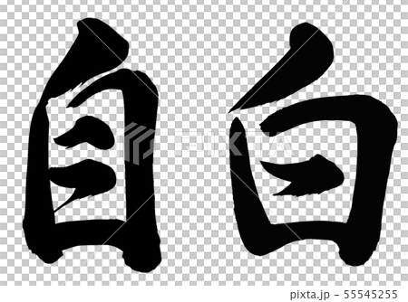 自白 55545255