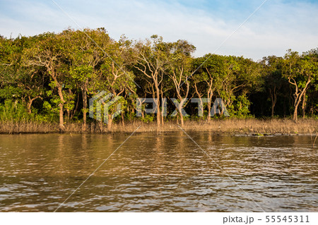 Floating village, Cambodia, Tonle Sap, Koh Rong 55545311
