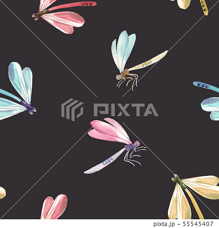 Watercolor dragonfly pattern 55545407