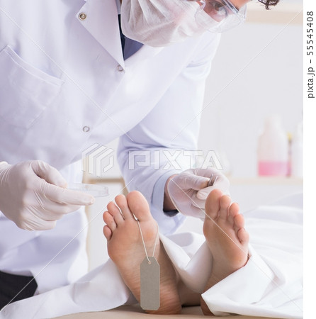 Police coroner examining dead body corpse in morgue 55545408