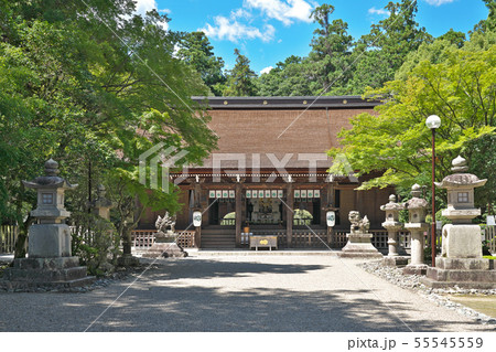 【多田神社 拝殿】 兵庫県川西市多田院多田所町1 【多田神社 拝殿】 兵庫県川西市多田院多田所町1 55545559