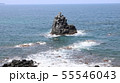 左京鼻　壱岐の島 55546043