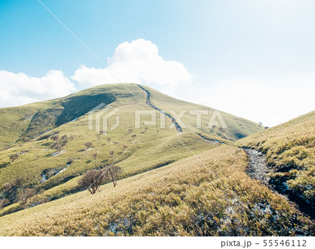 竜ヶ岳 竜ヶ岳 55546112