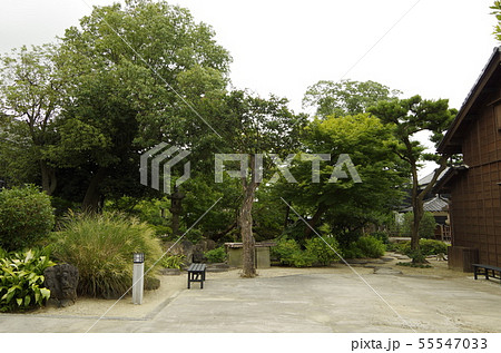 中埜半六邸　庭園 55547033