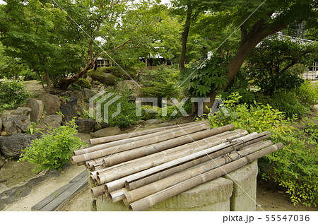 中埜半六邸　庭園 55547036