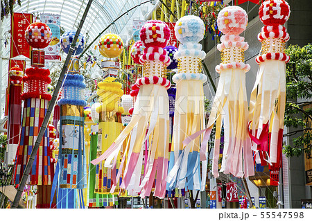 仙台七夕　七夕まつり 55547598