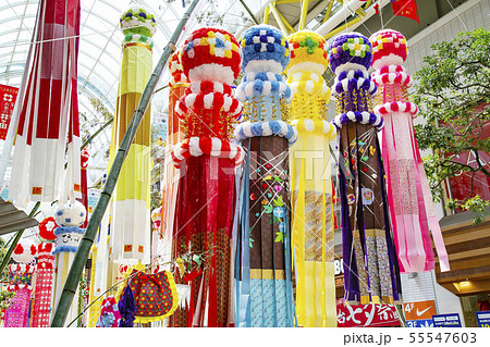 仙台七夕　七夕まつり 55547603