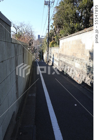 東京都台東区谷中の三浦坂 55547895