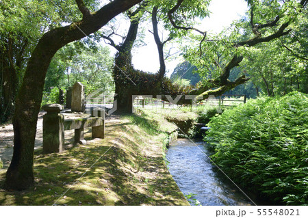 金山橋と板井手の滝 金山橋と板井手の滝 55548021