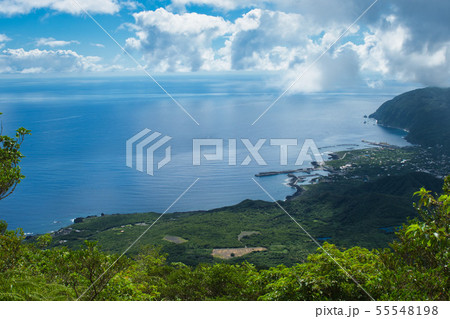 高台からの島の風景 八丈島にて 55548198