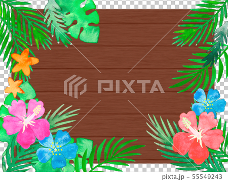 水彩熱帶花卉和植物木牌框架 插圖素材 圖庫
