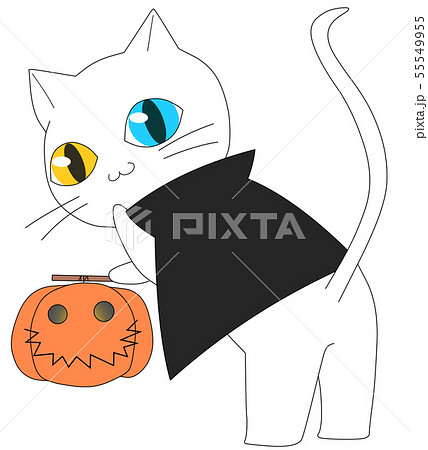 ハロウィン白猫B（オッドアイ）のイラスト素材 [55549955] - PIXTA