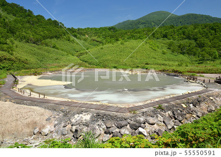 快晴の北海道蘭越町でニセコ湯本温泉大湯沼の夏の風景を撮影 55550591
