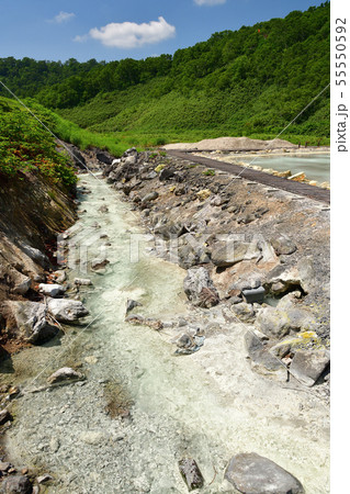 快晴の北海道蘭越町でニセコ湯本温泉大湯沼の夏の風景を撮影 55550592