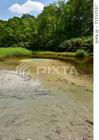 快晴の北海道蘭越町でニセコ湯本温泉大湯沼の夏の風景を撮影 55550597