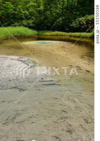 快晴の北海道蘭越町でニセコ湯本温泉大湯沼の夏の風景を撮影 55550598