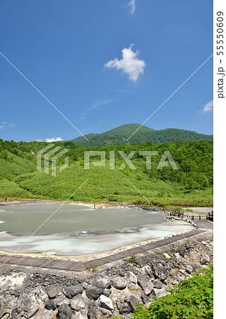 快晴の北海道蘭越町でニセコ湯本温泉大湯沼の夏の風景を撮影 55550609