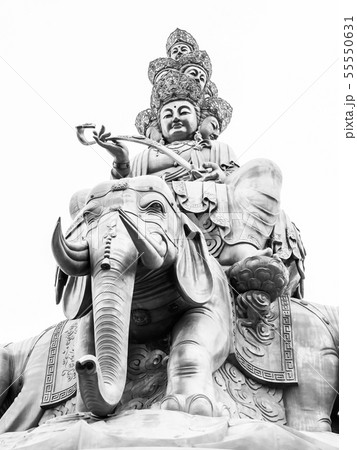 Golden Buddha on Mounth Emei Golden Buddha on Mounth Emei 55550631