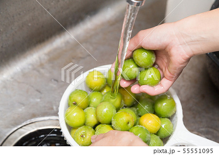梅 水洗い 梅 水洗い 55551095