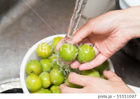 梅　水洗い 55551097